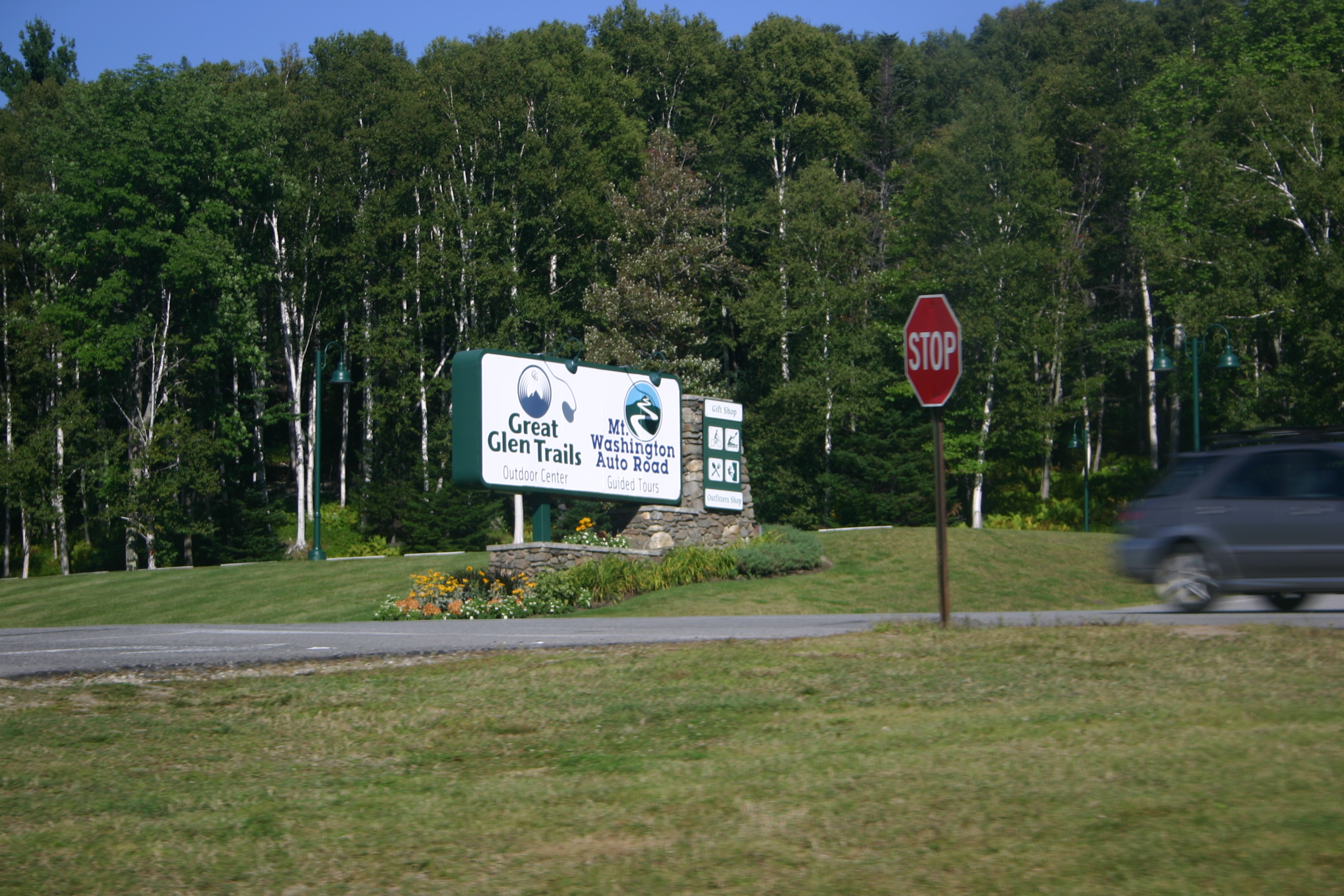 picture 8.
